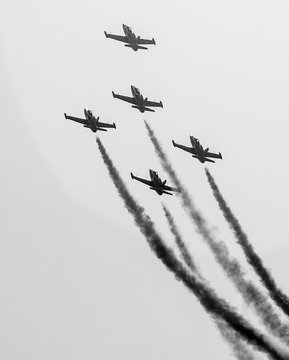 Voltige 02 - L39 ALBATROS