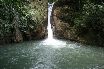 waterfall in forest