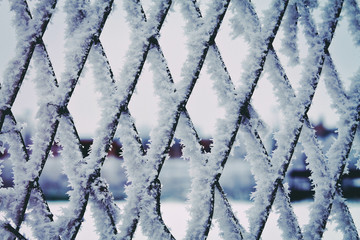 hoarfrost on the fence