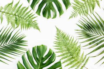 Background, pattern with exotic tropical palm leaves monstera on white background. Flat lay, top view.