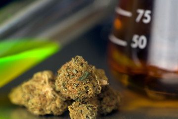 Scientific Medical Cannabis Hemp Oil In The Lab
