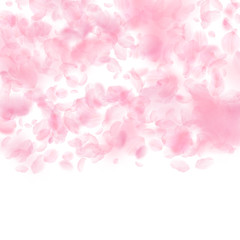 Fototapeta premium Sakura petals falling down. Romantic pink flowers gradient. Flying petals on white square background