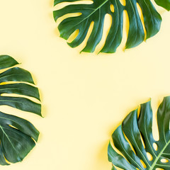 Tropical palm leaves Monstera on yellow background. Flat lay, top view