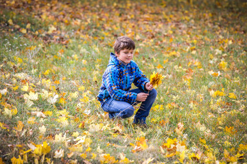 Young boy on park collect the bouquet with yellow leaves