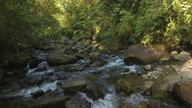 Flying over a river through pristine cloudforest At the Los Cedros Biological Reserve in western Ecuador