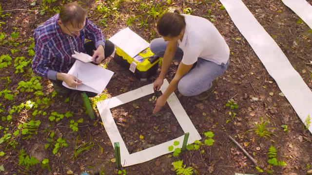 Top view. Two ecologist getting samples of soil in the forest inside square marking site. Field work