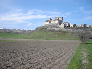parma