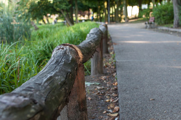 Close-up of wooden handrail at park