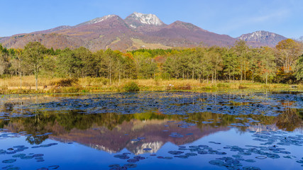 秋の朝のいもり池の風景