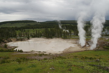 fog in yellowstone national park