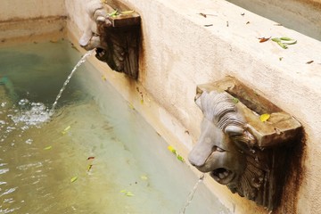 Lion statue spitting water