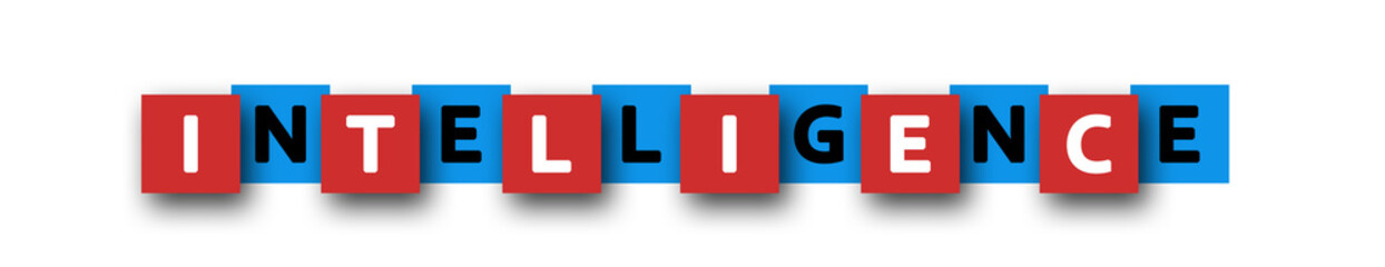 Intelligence - letters written in beautiful boxes on white background