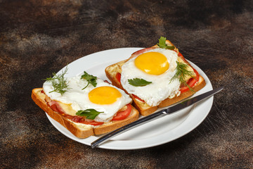 Sandwich with cheese, bacon, tomato and fried egg on plate