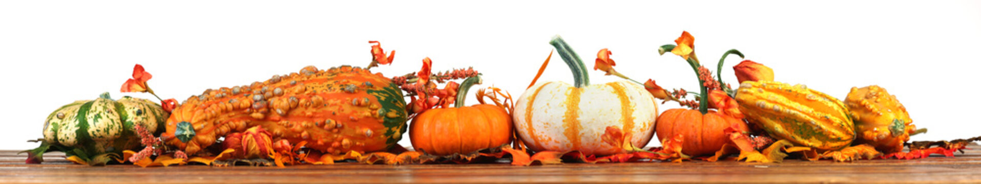 Autumn pumpkins and gourds background