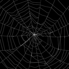 Large white spider web on black - 3d render