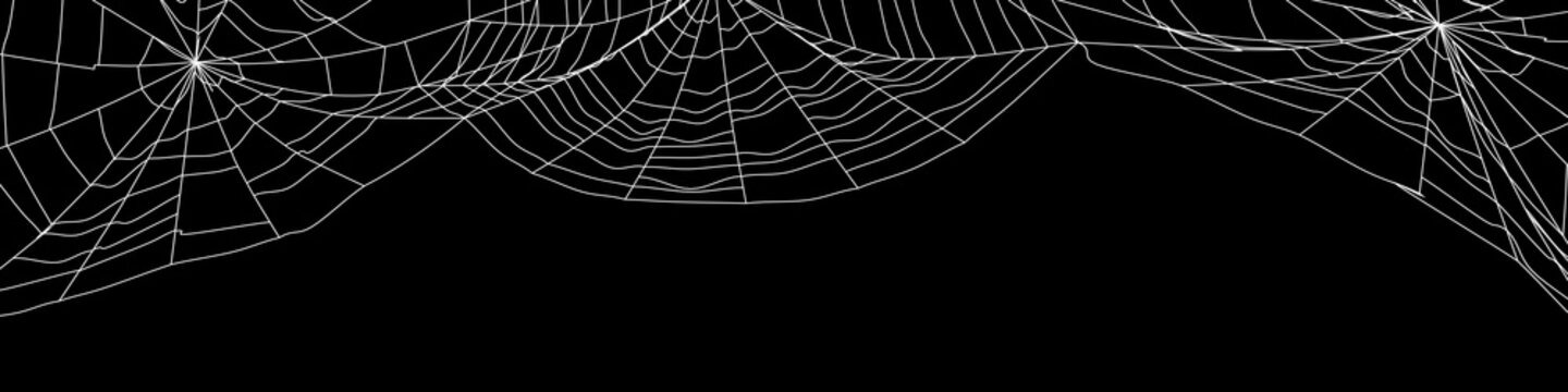 Large white spider web on black - 3d render