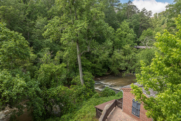 Fototapeta premium bridge in the forest