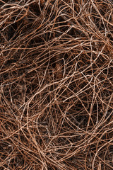 Texture of dry vine