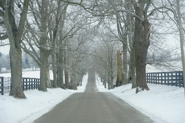 Country Road in a Winter Scene