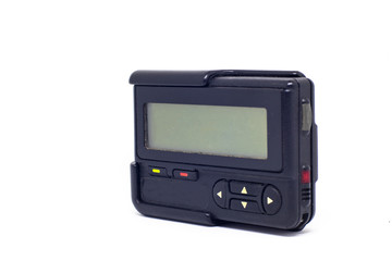 Obraz premium black viper in a white background 