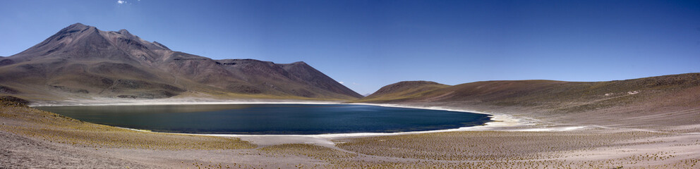 Fototapeta na wymiar Miñiques lagoon in Atacama Desert, Chile