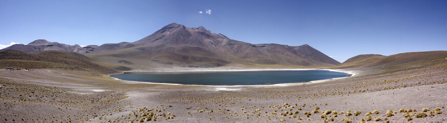 Miñiques lagoon in Atacama Desert, Chile