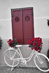 Fototapeta na wymiar Flower Bike