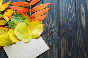 Autumn composition of envelope with red and yellow leaves  in it . Autumn, season change concept