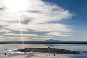 Obraz premium Chaxa Lagoon, Atacama Desert, Chile