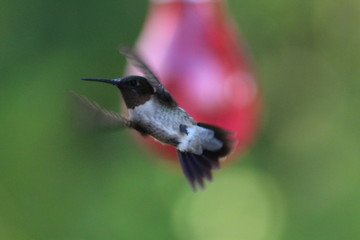 Flight