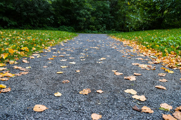 Autumn path