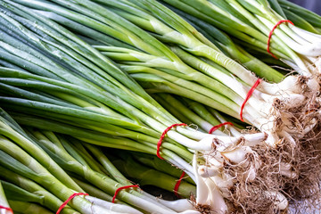 Farmer's Market Scallions