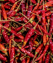 Farmer's Market Chili