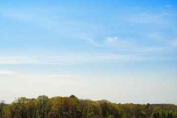 木　空　雲　素材