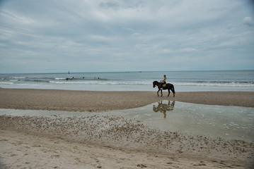 Young woman on beach riding horse