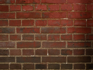 煉瓦の壁