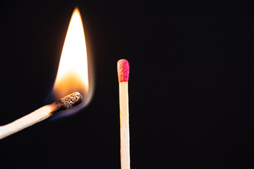 Lit match next to a row of unlit matches. The Passion of One Ignites New Ideas, Change in Others.