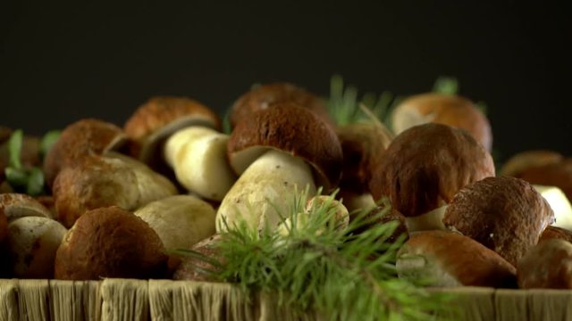 .Forest mushrooms. Cepes. Natural product. Delicacy Rotation. Slow-motion shot .