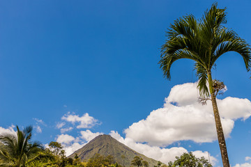Fototapeta na wymiar A typical view in Costa Rica