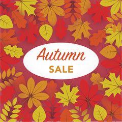 Abstract Vector Illustration Background with Falling Autumn Leavs