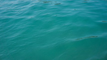 a green water tranquil deep dark with relaxing conditions in karimun jawa