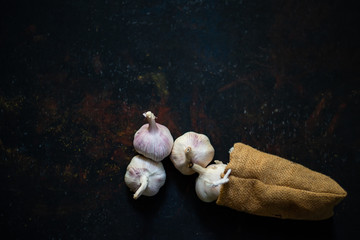 Garlic on black vintage background