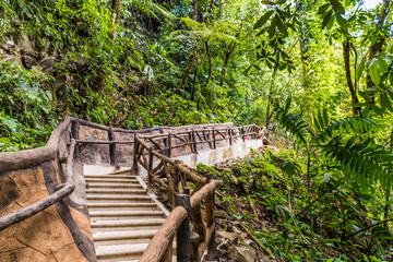 A typical view in Costa Rica