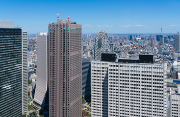 Obraz premium 東京風景・新宿高層ビル群と東京スカイツリー