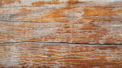 Old wood texture