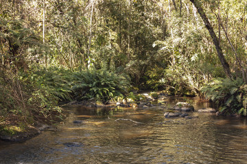 Gonçalves - MG