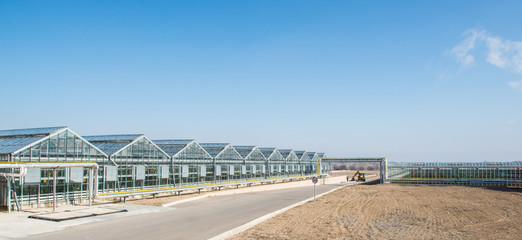 panorama and appearance of the greenhouse in the day time. facade and glass roof of hothouse
