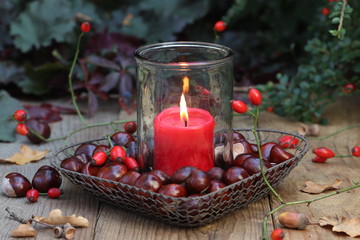 still life with red candle and chestnuts