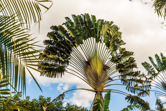 A typical view in Costa Rica