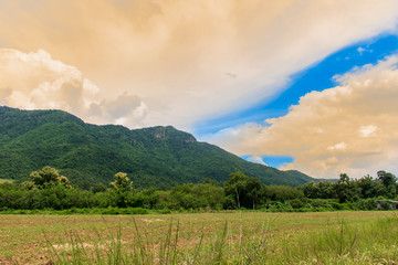 Vacant land is unproductive, mountainous, forest and sky.